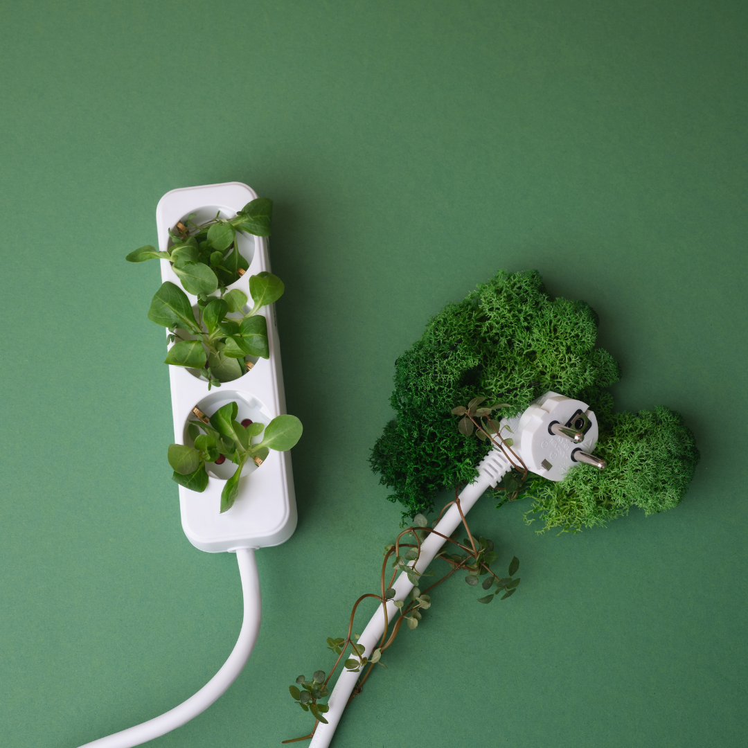 Eco & Sustentabilidad